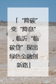 “降碳”变“降息”，临沂“临碳贷”探出绿色金融创新路
