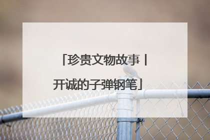 珍贵文物故事丨开诚的子弹钢笔