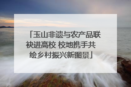 玉山非遗与农产品联袂进高校 校地携手共绘乡村振兴新图景