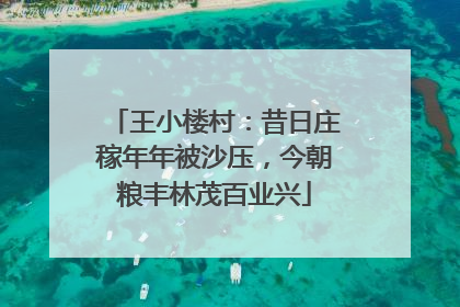 王小楼村：昔日庄稼年年被沙压，今朝粮丰林茂百业兴
