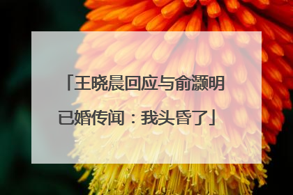 王晓晨回应与俞灏明已婚传闻：我头昏了