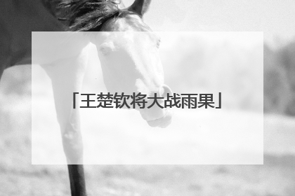 王楚钦将大战雨果