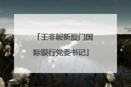 王非履新厦门国际银行党委书记