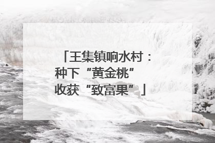 王集镇响水村：种下“黄金桃” 收获“致富果”