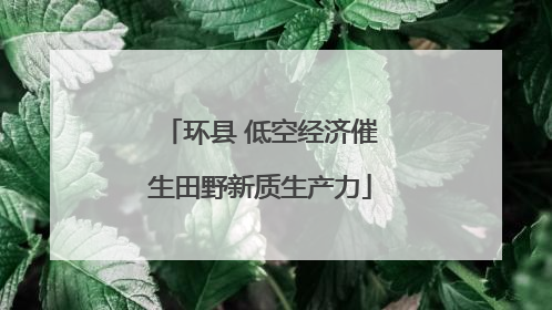 环县 低空经济催生田野新质生产力