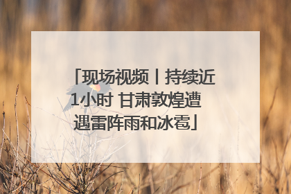现场视频丨持续近1小时 甘肃敦煌遭遇雷阵雨和冰雹