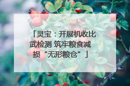 灵宝：开展机收比武检测 筑牢粮食减损“无形粮仓”