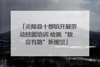 炎陵县十都镇开展劳动技能培训 绘就“致富有路”新图景