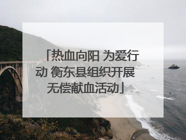 热血向阳 为爱行动 衡东县组织开展无偿献血活动