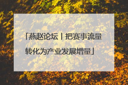 燕赵论坛丨把赛事流量转化为产业发展增量