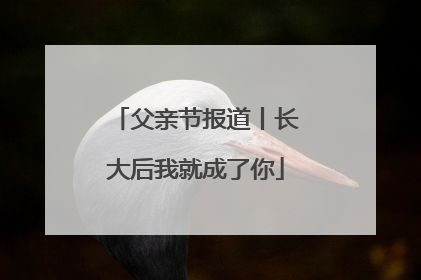 父亲节报道丨长大后我就成了你