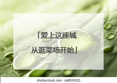 爱上这座城 从逛菜场开始