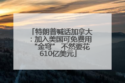 特朗普喊话加拿大：加入美国可免费用“金穹” 不然要花610亿美元