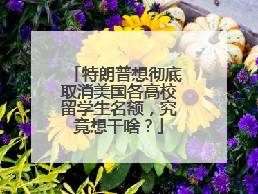 特朗普想彻底取消美国各高校留学生名额，究竟想干啥？