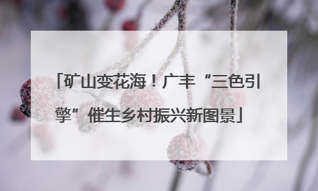 矿山变花海！广丰“三色引擎”催生乡村振兴新图景