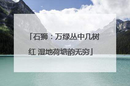 石狮：万绿丛中几树红 湿地荷塘韵无穷