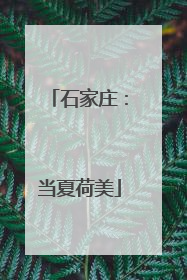石家庄：当夏荷美