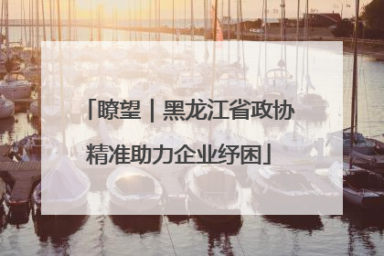 瞭望｜黑龙江省政协精准助力企业纾困