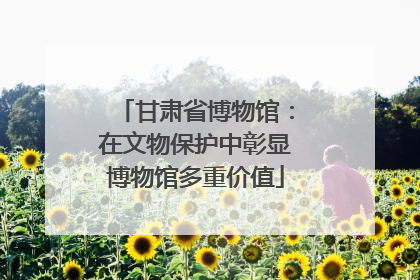 甘肃省博物馆：在文物保护中彰显博物馆多重价值
