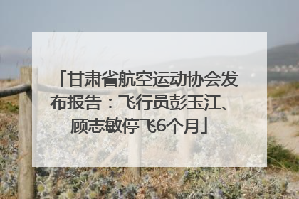 甘肃省航空运动协会发布报告：飞行员彭玉江、顾志敏停飞6个月