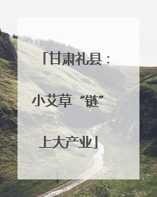 甘肃礼县：小艾草“链”上大产业