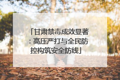 甘肃禁毒成效显著：高压严打与全民防控构筑安全防线