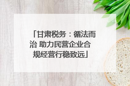 甘肃税务：循法而治 助力民营企业合规经营行稳致远
