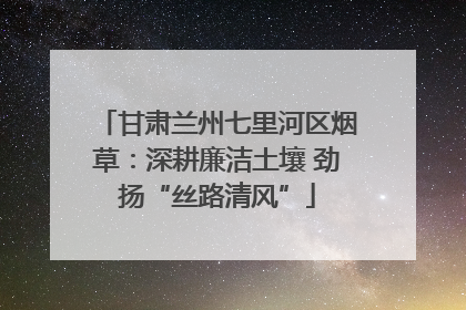 甘肃兰州七里河区烟草：深耕廉洁土壤 劲扬“丝路清风”