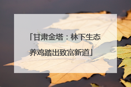 甘肃金塔：林下生态养鸡踏出致富新道