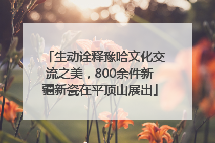生动诠释豫哈文化交流之美，800余件新疆新瓷在平顶山展出