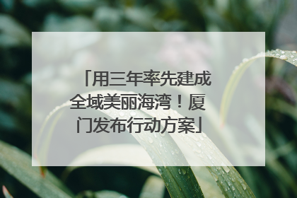 用三年率先建成全域美丽海湾！厦门发布行动方案