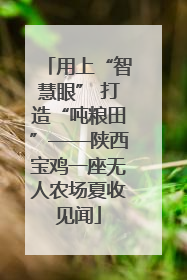 用上“智慧眼” 打造“吨粮田”——陕西宝鸡一座无人农场夏收见闻