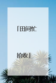 田间忙抢收