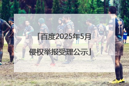 百度2025年5月侵权举报受理公示