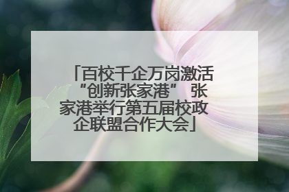 百校千企万岗激活“创新张家港” 张家港举行第五届校政企联盟合作大会