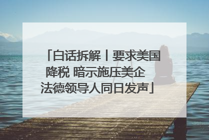 白话拆解丨要求美国降税 暗示施压美企 法德领导人同日发声