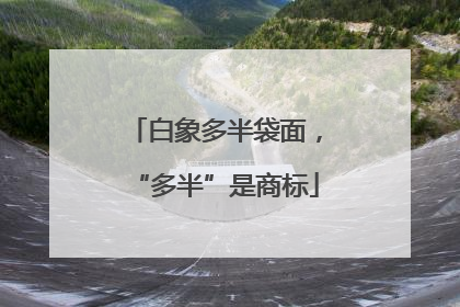 白象多半袋面，“多半”是商标