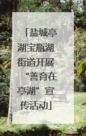 盐城亭湖宝瓶湖街道开展“善育在亭湖”宣传活动