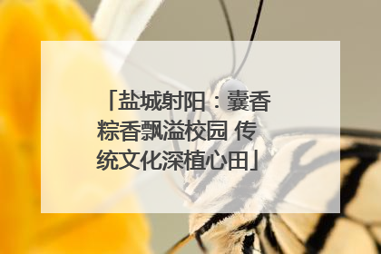 盐城射阳：囊香粽香飘溢校园 传统文化深植心田