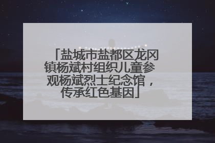 盐城市盐都区龙冈镇杨斌村组织儿童参观杨斌烈士纪念馆，传承红色基因