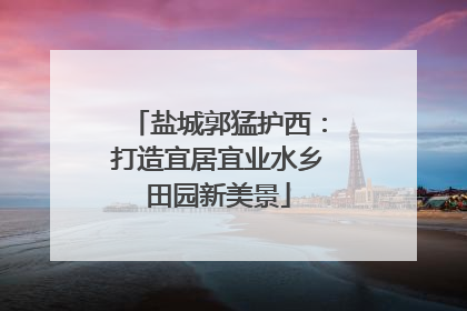 盐城郭猛护西：打造宜居宜业水乡田园新美景