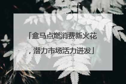 盒马点燃消费新火花，潜力市场活力迸发