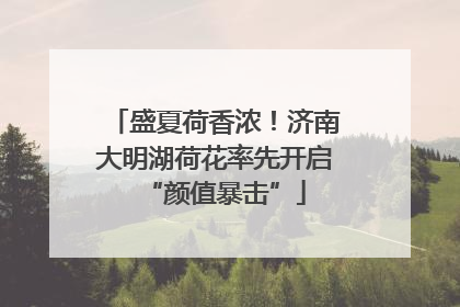 盛夏荷香浓！济南大明湖荷花率先开启“颜值暴击”