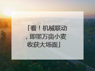 看！机械联动，即墨万亩小麦收获大场面