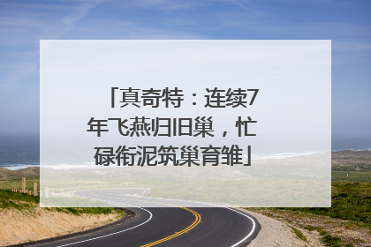 真奇特：连续7年飞燕归旧巢，忙碌衔泥筑巢育雏