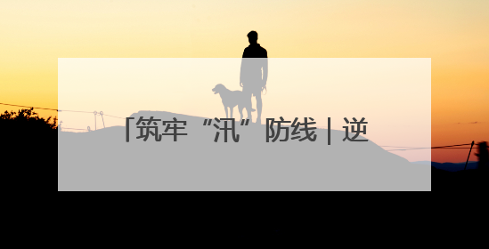 筑牢“汛”防线｜逆水而行！宝峰湖 “安全卫士” 出鞘 防汛应急再添硬核力量