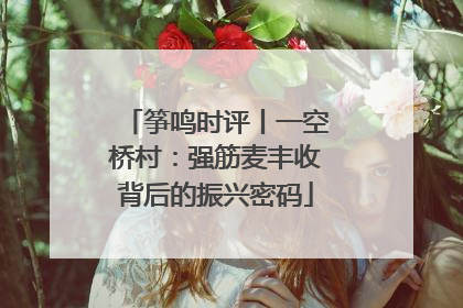 筝鸣时评丨一空桥村：强筋麦丰收背后的振兴密码