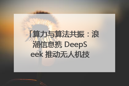 算力与算法共振：浪潮信息携 DeepSeek 推动无人机技术在舟山落地