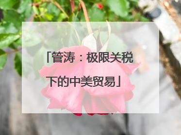 管涛：极限关税下的中美贸易