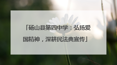 砀山县第四中学：弘扬爱国精神，深耕民法典宣传